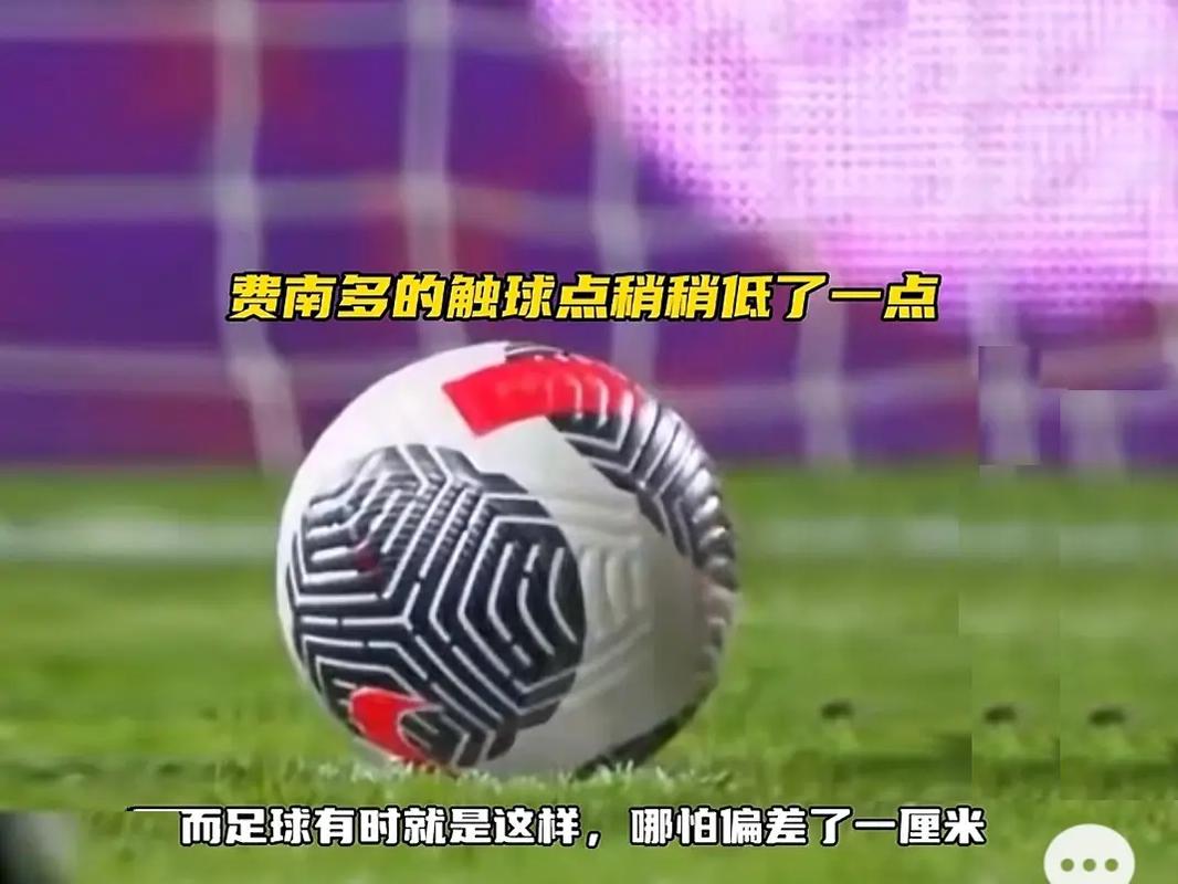 不仅彰显了